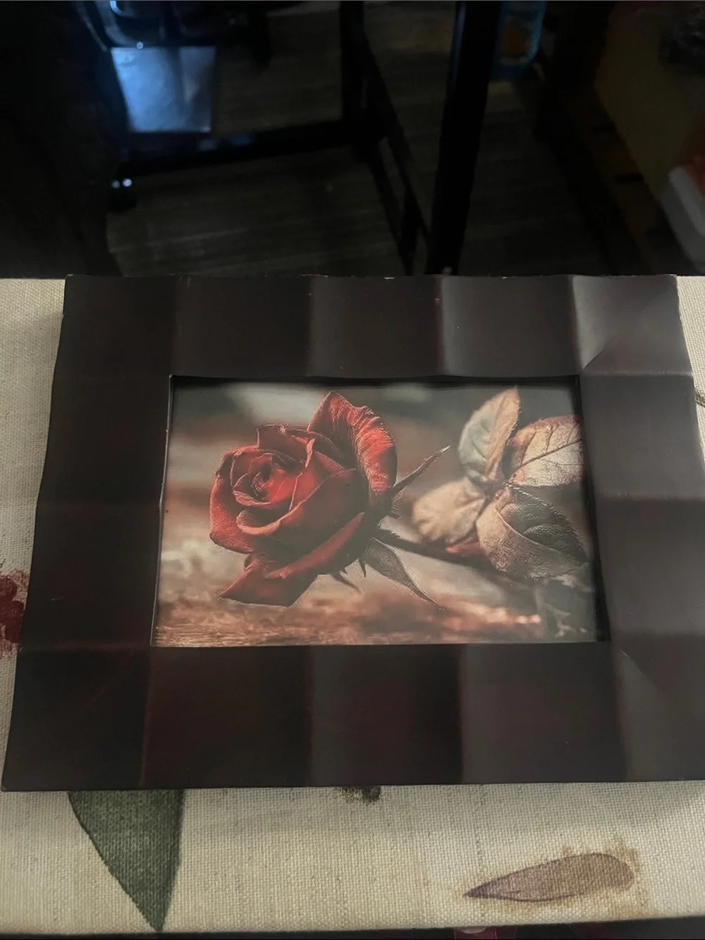 Brown Frame with captivating Red rose still close up print 4 x 6 149